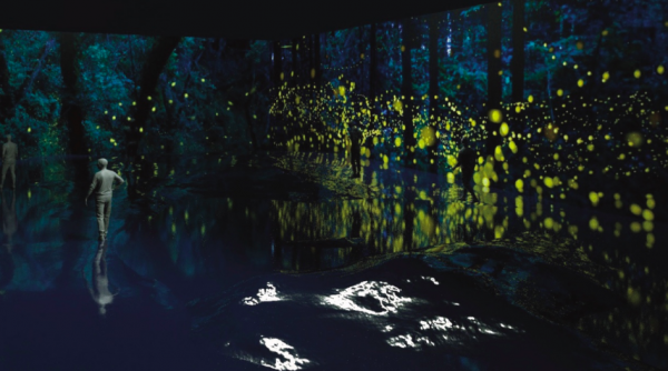 做一天“弗裡達”,看女性藝術家與“愛的藝術” 做一天“弗裡達”,看女性藝術家與“愛的藝術”