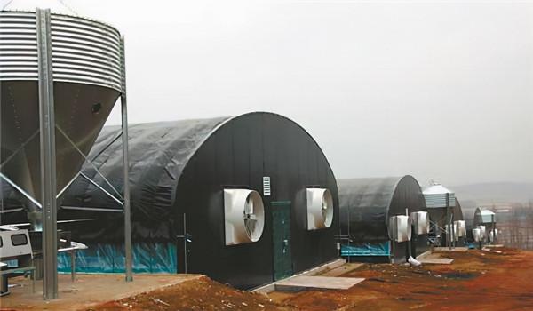 小夥建“高大上”五位一體全能大棚，種菜養豬零排放，猜掙多少錢