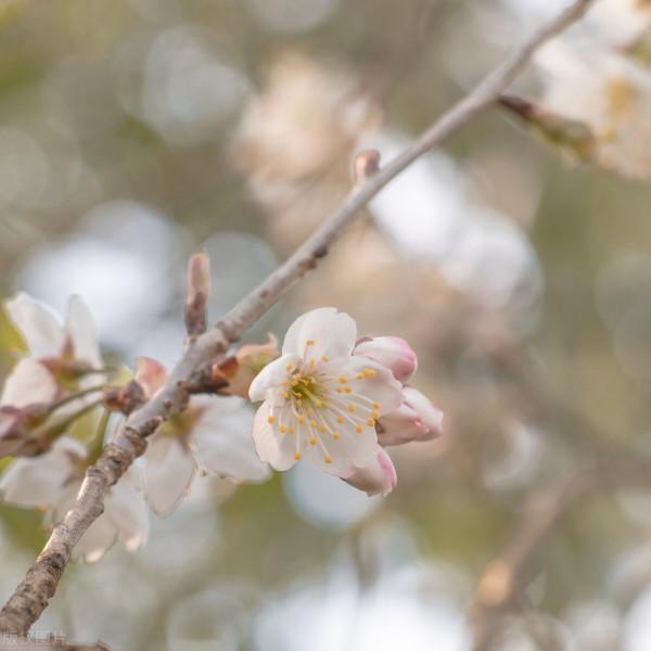 一女三男，狗血到連編劇都不敢那樣寫，可這才是生活有意思的地方
