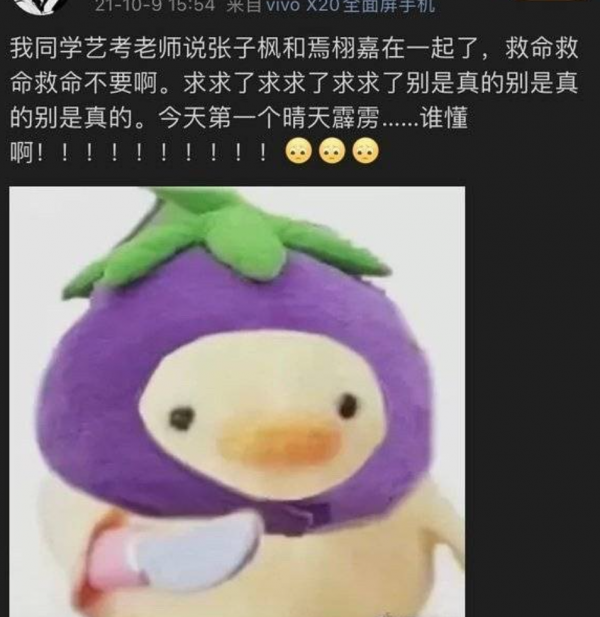 焉栩嘉又雙叒談戀愛了？新女友疑似是張子楓，網友直呼妹妹快跑