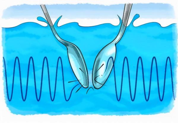 24個冷知識:或許看起來令人匪夷所思,但卻有科學依據的奇怪知識 24個冷知識:或許看起來令人匪夷所思,但卻有科學依據的奇怪知識