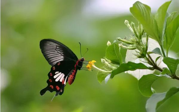 出發吧?國內適合冬天旅行的10個小眾旅行地,景美低調,百看不厭 出發吧?國內適合冬天旅行的10個小眾旅行地,景美低調,百看不厭