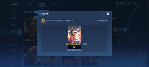 王者榮耀英雄效果調整，玉環更適合出肉裝，收集全面板有額外效果