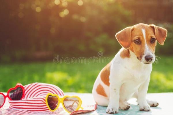 為什麼老年人身上會長老年斑？醫生建議做好4件事，可以有效改善