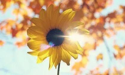 周冬雨飾演的護士去世，《穿過寒冬擁抱你》小護士去世片段感人