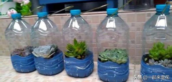 變廢為寶：家裡1種垃圾別丟了，給花草保暖，防凍增溼長勢好