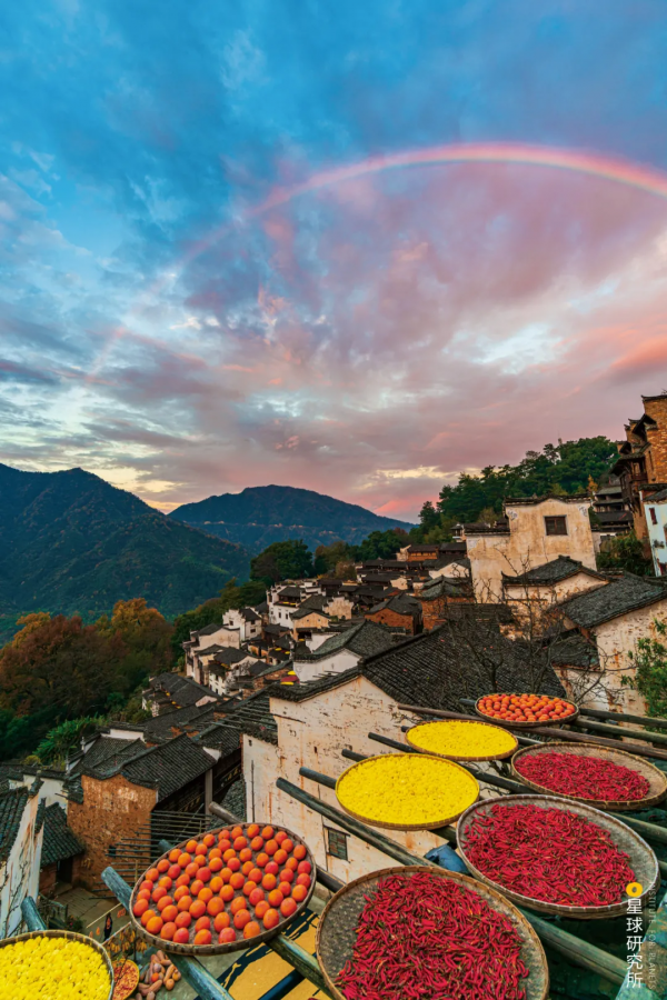 來了！中國賞秋地圖