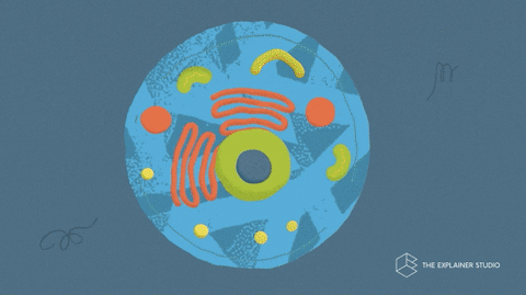 為了搞垮你的身體,腫瘤細胞有多“努力”? 為了搞垮你的身體,腫瘤細胞有多“努力”?