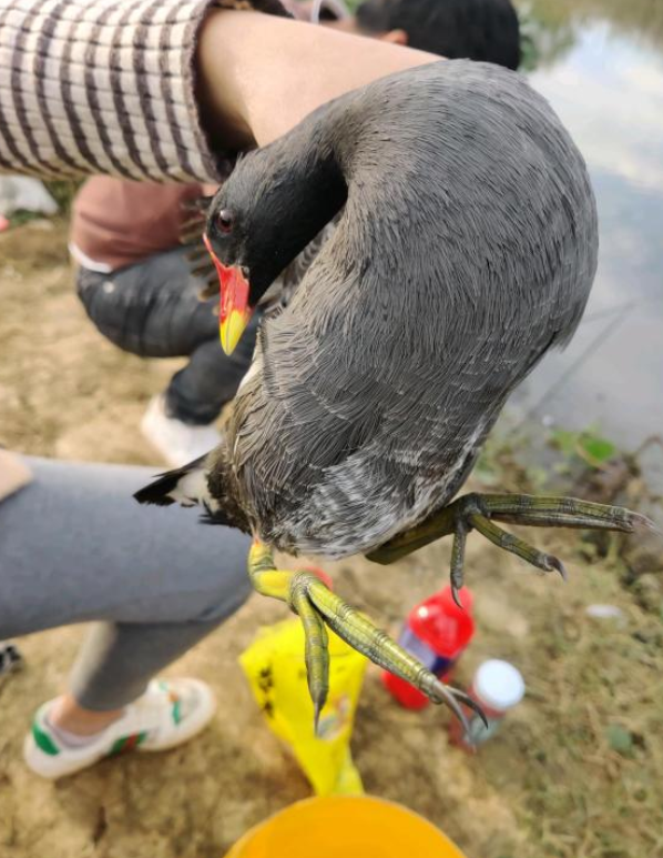 那些年,釣魚大佬們都釣到過什麼? 那些年,釣魚大佬們都釣到過什麼?