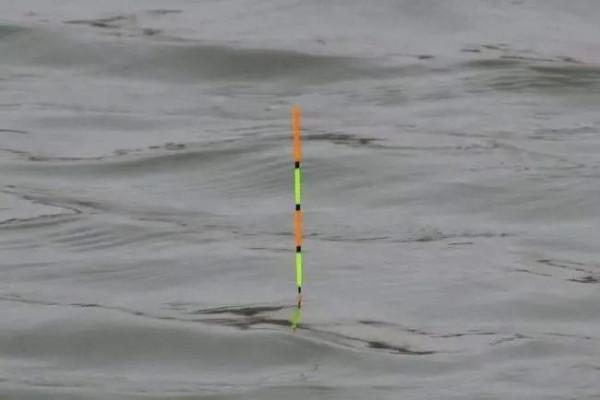 釣鯉魚的四步調漂方法，簡單易學，快速掌握