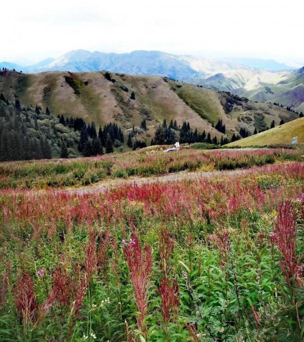 大美新疆自駕遊——到夏爾希裡感受風景如畫 大美新疆自駕遊——到夏爾希裡感受風景如畫