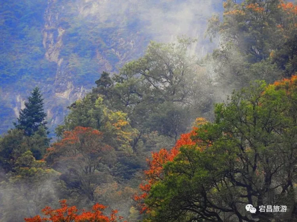 【最新美圖】此生不去澤蕩湖,逢人莫說賞秋色 【最新美圖】此生不去澤蕩湖,逢人莫說賞秋色