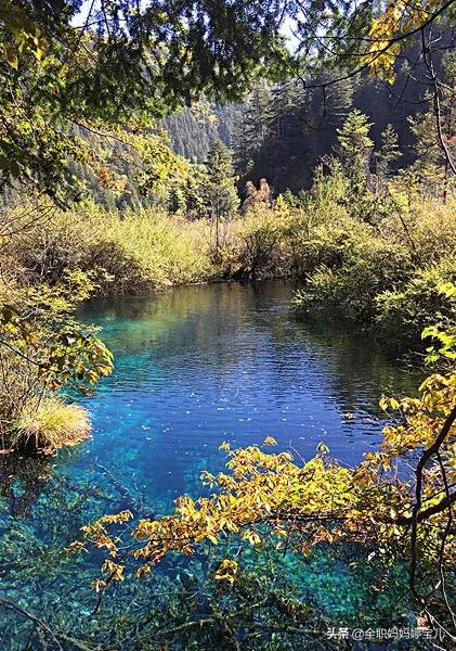 分享——令人迷幻的九寨溝