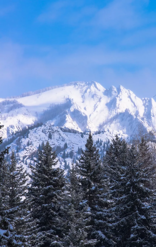 新疆剛下雪，小夥伴不淡定了：原來冬天的新疆是這樣的