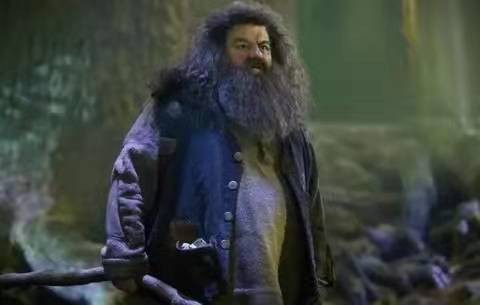 哈利波特手遊：守護最好的教授，他們是霍格沃茲最強大的後盾