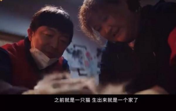 跨年新片讓人糟心賣題材賣情懷就是沒內容，實力與宣傳不匹配