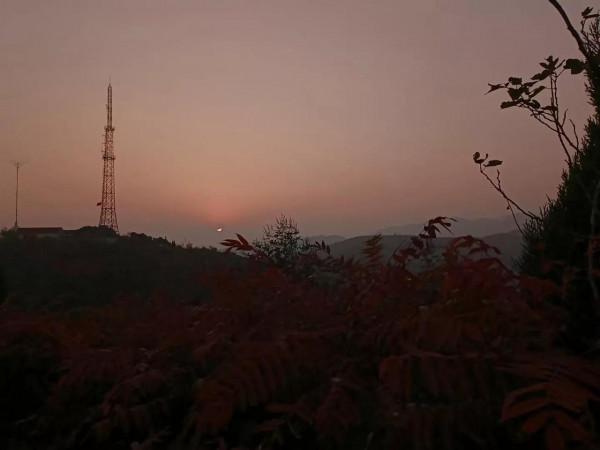 和父親一起上墳