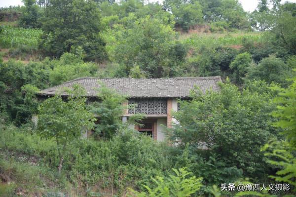 野豬賴上舊屋跟村民做鄰居，山裡人略施計謀，兇猛野豬變溫順家畜