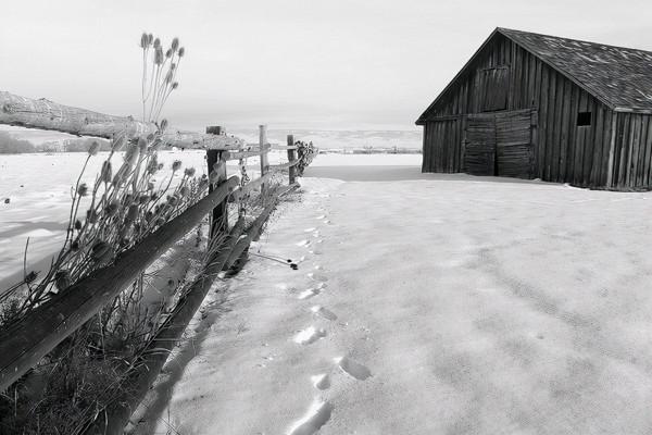 閣樓深夜傳出腳步聲,主人探查時空無一人,半年後全家六人被殺 閣樓深夜傳出腳步聲,主人探查時空無一人,半年後全家六人被殺