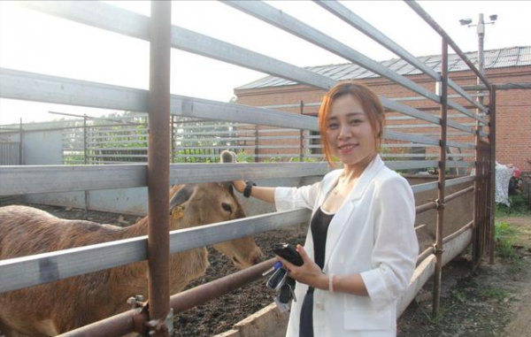 梅花鹿養殖大戶王嬌,人工養殖梅花鹿,年銷售額達到了四千多萬元 梅花鹿養殖大戶王嬌,人工養殖梅花鹿,年銷售額達到了四千多萬元