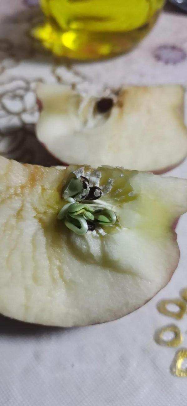 福旺財旺運氣旺