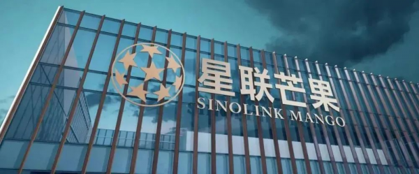 河南星聯芒果集團創始人王永光退任董事長 房地產生意做得挺大