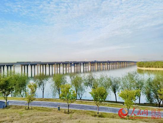 鱸魚又現白洋淀 鱸魚又現白洋淀