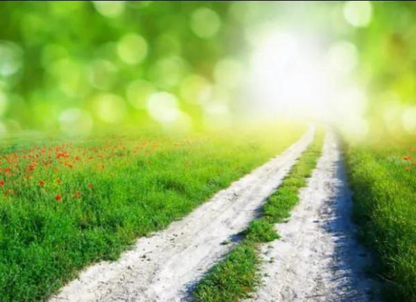 十條最美的公路，你喜歡哪一條？