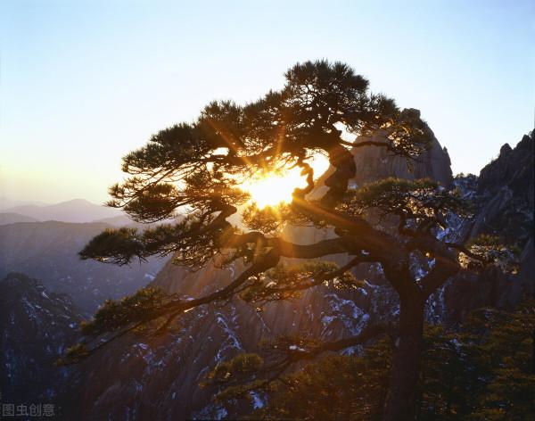 安徽又又又又又紅了 安徽又又又又又紅了