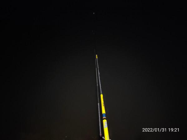 陪伴魚兒看煙花，期待新年的鐘聲