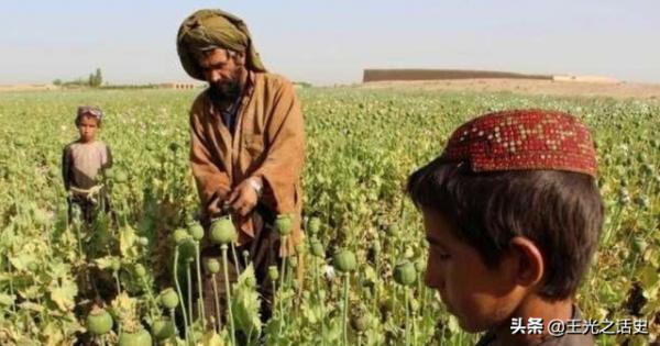 20年打掉2萬億美元，阿富汗是如何逼瘋美國的？