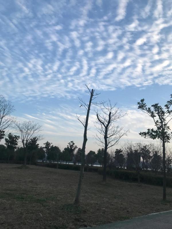 李靚蕾發文實錘王力宏：我有多愛你，就有多恨你