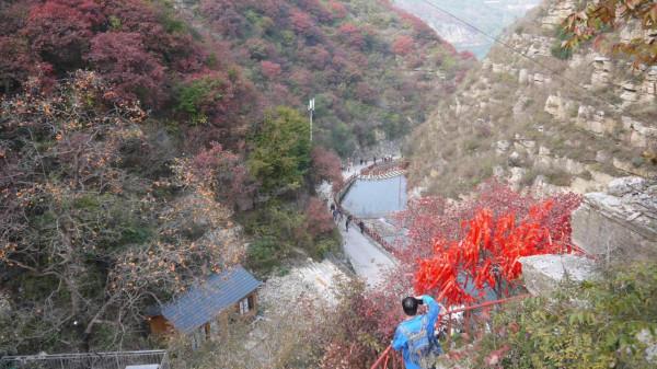 看萬山紅遍,層林盡染(2)——青州天賜山賞紅葉 看萬山紅遍,層林盡染(2)——青州天賜山賞紅葉