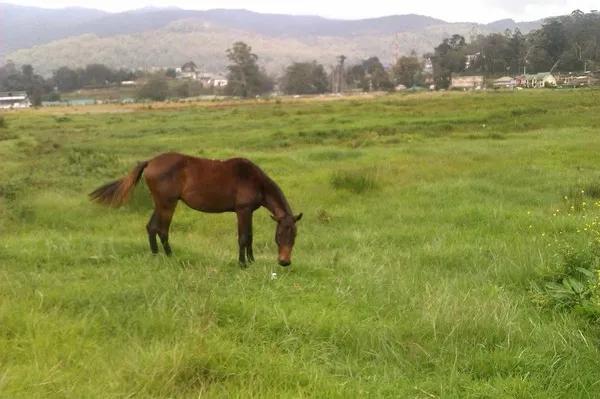 既然連死都不怕了,不如在死之前看看這個世界 既然連死都不怕了,不如在死之前看看這個世界
