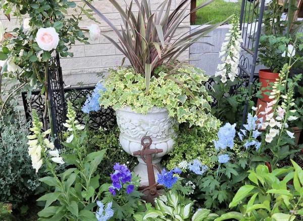 老人改造一個25年的70平米老花園,網友:幸福美滿的退休生活 老人改造一個25年的70平米老花園,網友:幸福美滿的退休生活