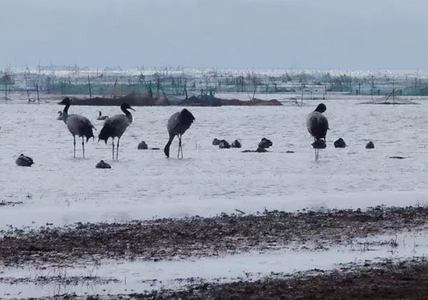 疫情過後，我想再去一次貴州，這10個地方，一直讓我念念不忘