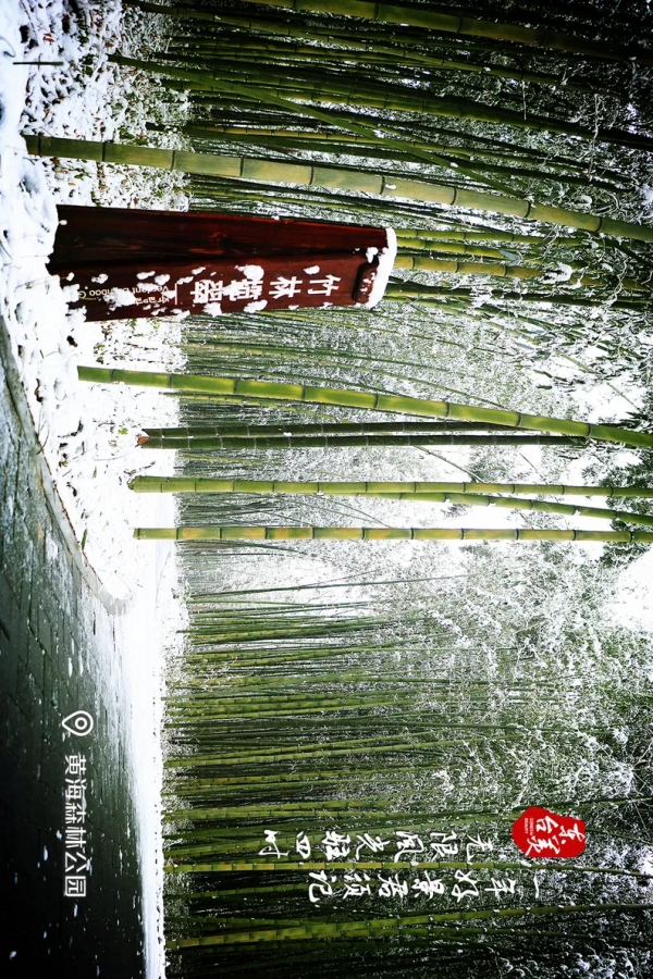 一起走過東臺最美的四季