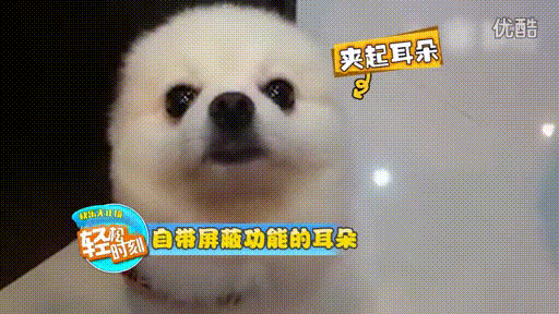 減肥平臺期，大吃一頓就能破？「欺騙餐」的5個真相