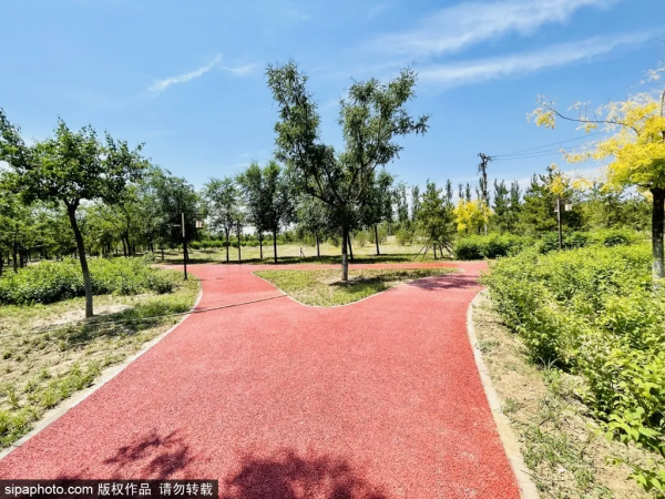 免費！北京這座“巨無霸”公園清涼宜人，被稱“北方小江南”卻少為人知~