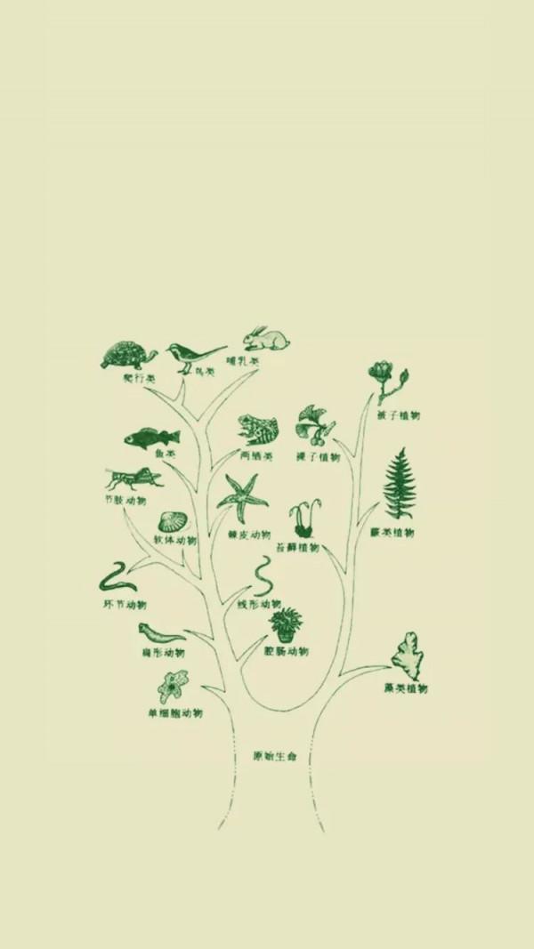 慶祝教師節 | 送給各科老師的專屬桌布，請收下！