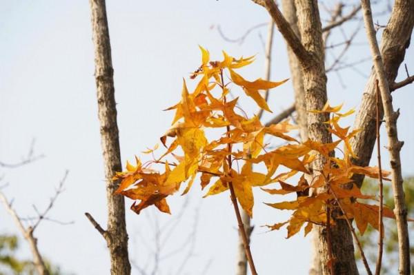 一起到趙巷的公園裡偷得浮生半日閒吧
