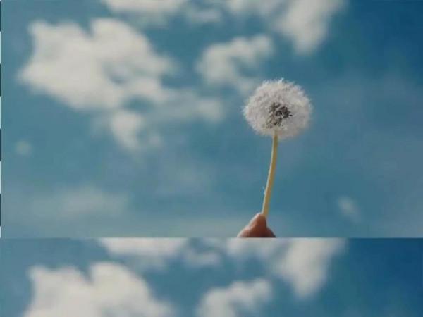 她36歲當奶奶,沒上過學卻考了駕照,還從駕校給兒子帶回一個女友 她36歲當奶奶,沒上過學卻考了駕照,還從駕校給兒子帶回一個女友