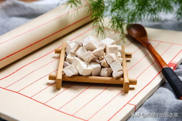 喝水都長肉？講兩個方子，一個化痰，一個清熱，給胖子減減肥