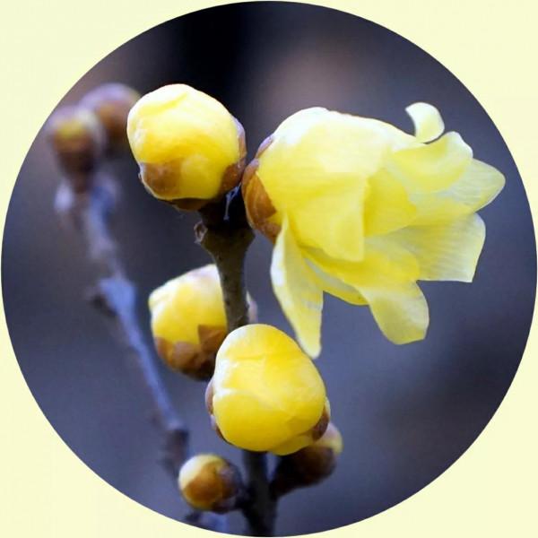 你的微信頭像該換了,美麗的風景,令人心曠神怡 你的微信頭像該換了,美麗的風景,令人心曠神怡