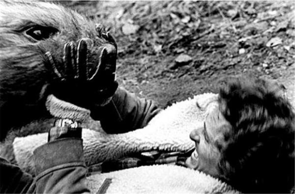 日本正式提交核廢水排海申請，2023年開始排放？日本國運要下行？