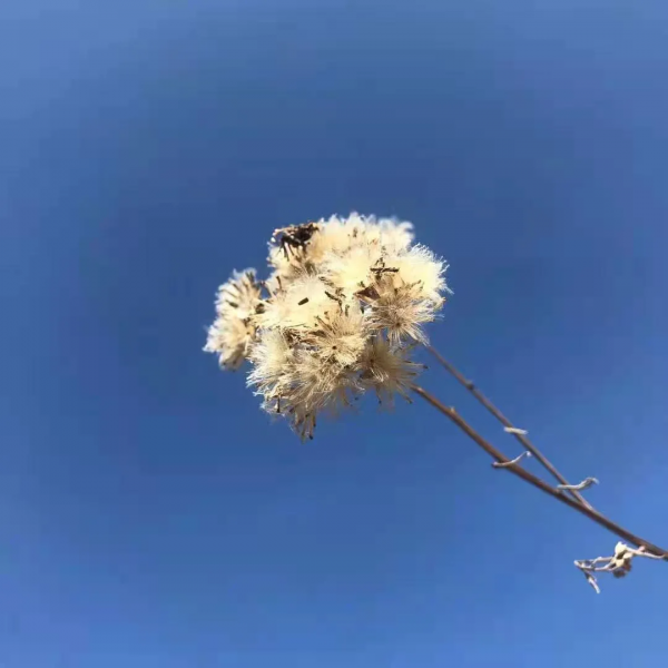 “人過六十，六不想”，指的是什麼？看完就知道古人智慧有多高了