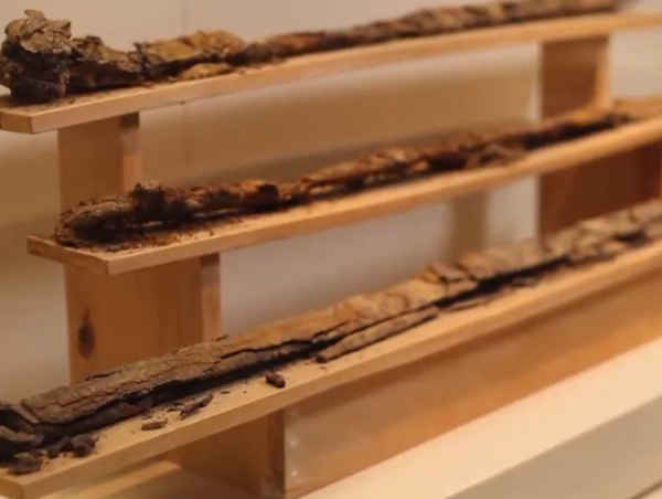 2003年王羲之故居挖出古墓，發現三具幼女屍骨，揭開一段皇家秘史