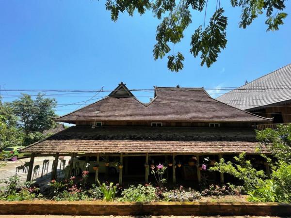 嚮往的生活蘑菇屋收費參觀，20元一人還送果汁，小院實在太美了