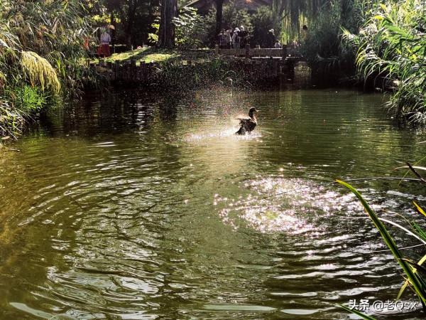 逛京城之閒遊三里河