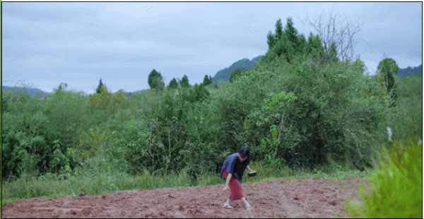 李子柒傳播的十大東方文化十首詩（前五），她與薇婭你更喜歡誰？